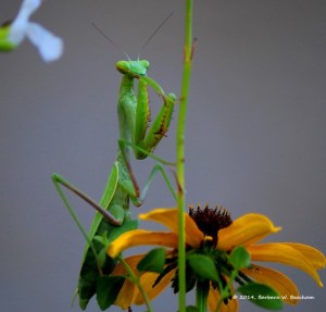 Monday's finish the story