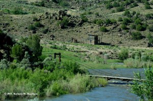 Mysterious Island (9) picture