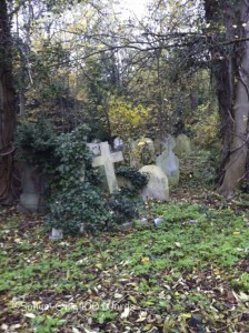 Graveyard ~ Flash fiction